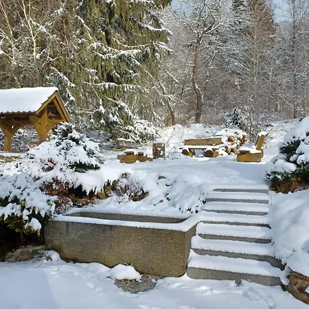 Sumava Boubin Holiday home *